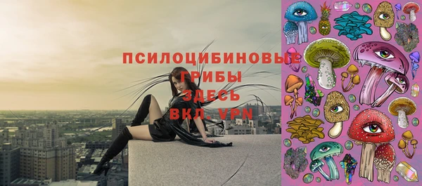 прущий лед Медвежьегорск