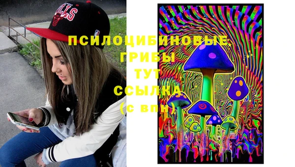 СК Мегион