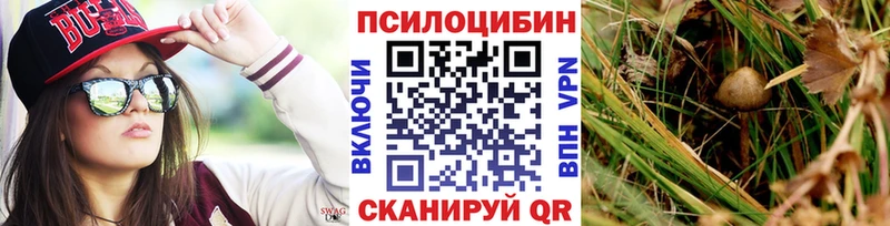 Галлюциногенные грибы Psilocybe это состав Нариманов