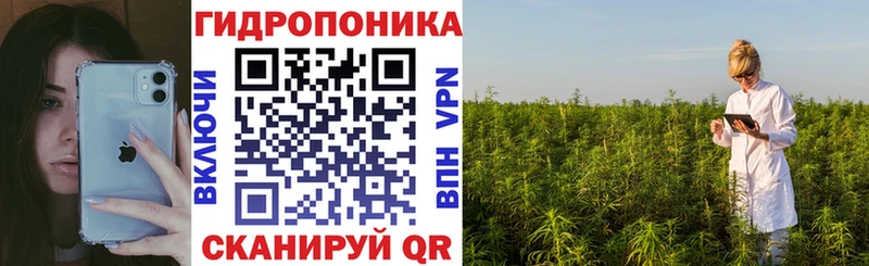 Бошки Шишки Amnesia Нариманов